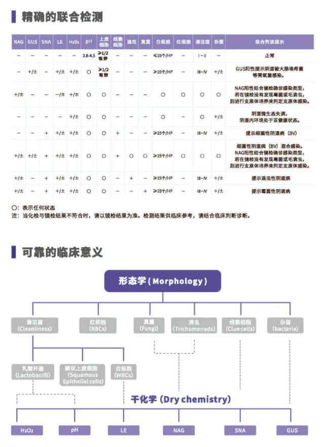 阴道分泌物91短视频在线观看经典下载V800精确的联合检测